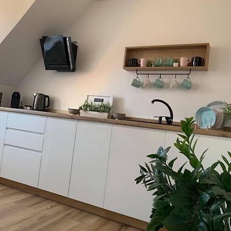 Apartmán Szepty Mansardy Stary Toruń Exteriér fotografie
