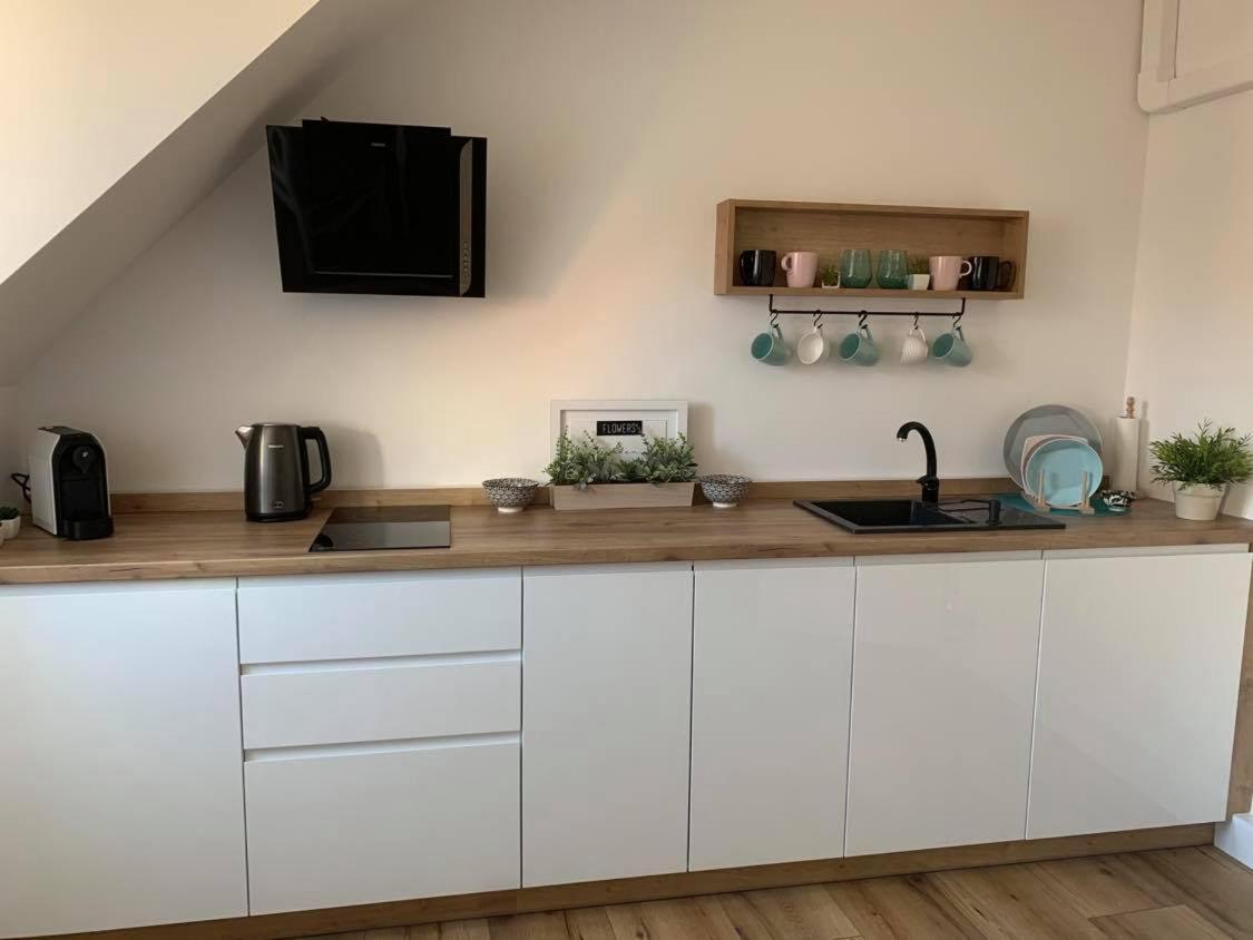 Apartmán Szepty Mansardy Stary Toruń Exteriér fotografie
